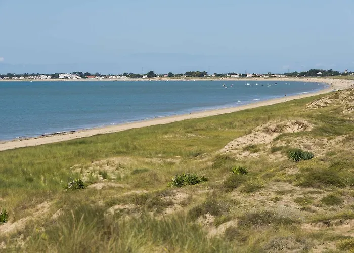 Apartment 3 Pieces Avec Balcon, A 300m De La Plage, - Fr-1-224b-107 *